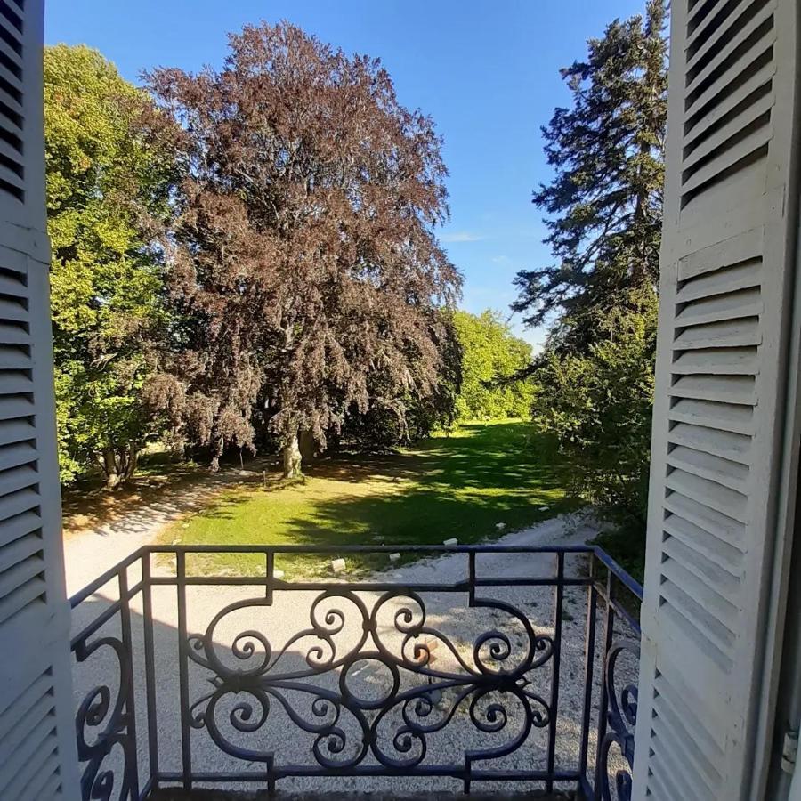 Chateau De Charnizay Экстерьер фото
